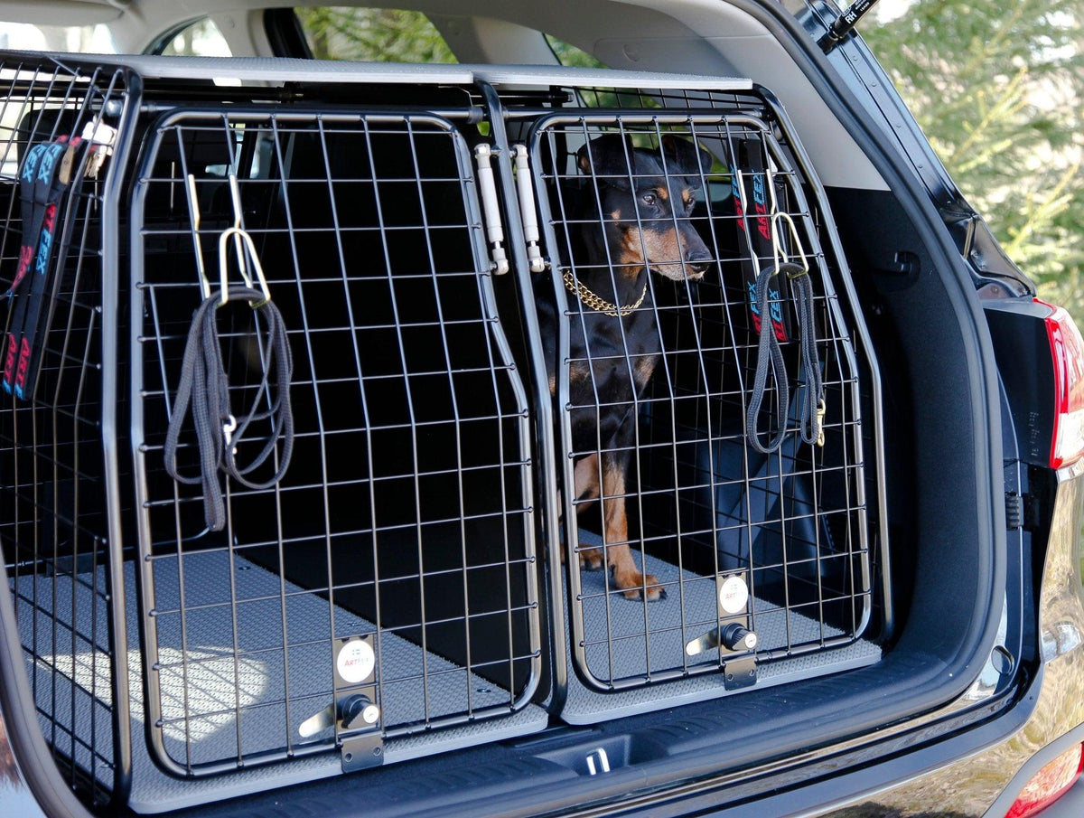 Hundgaller Audi Q7 — köpguide och rekommendationer