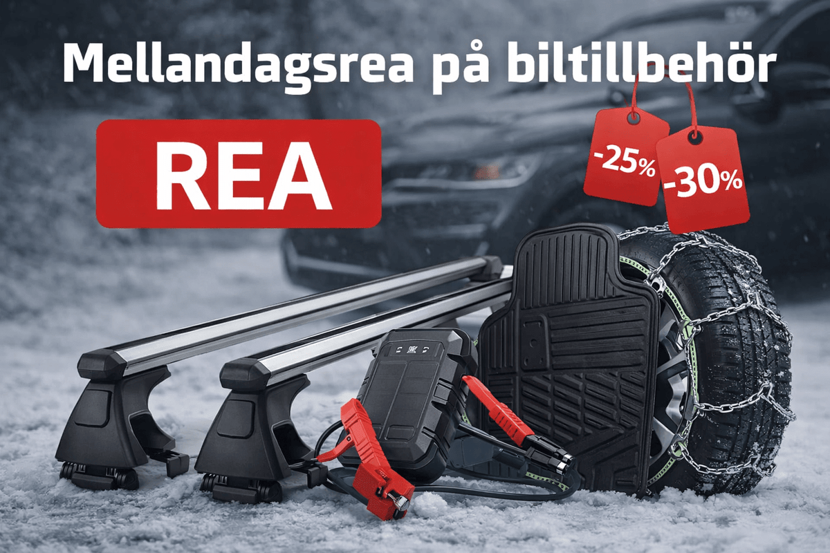 Mellandagsrea - Carlevel AB
