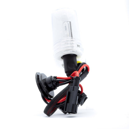 Xenonlampa
