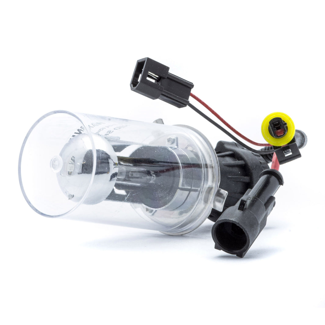 Xenonlampa