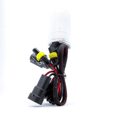 Xenonlampa