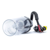 Xenonlampa