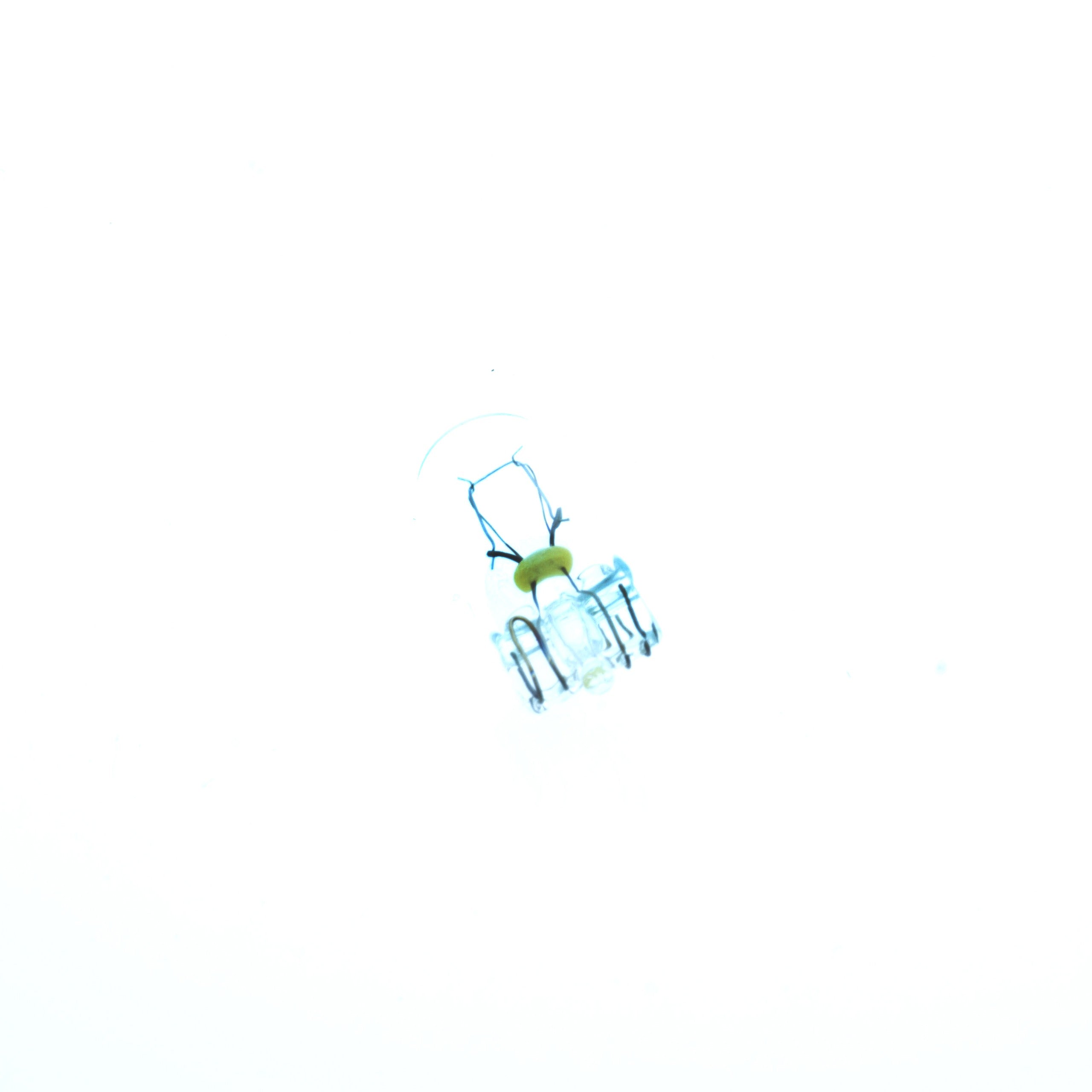 Halogenlampa – PHILIPS – 24V