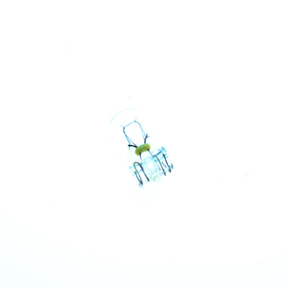 Halogenlampa – PHILIPS – 24V