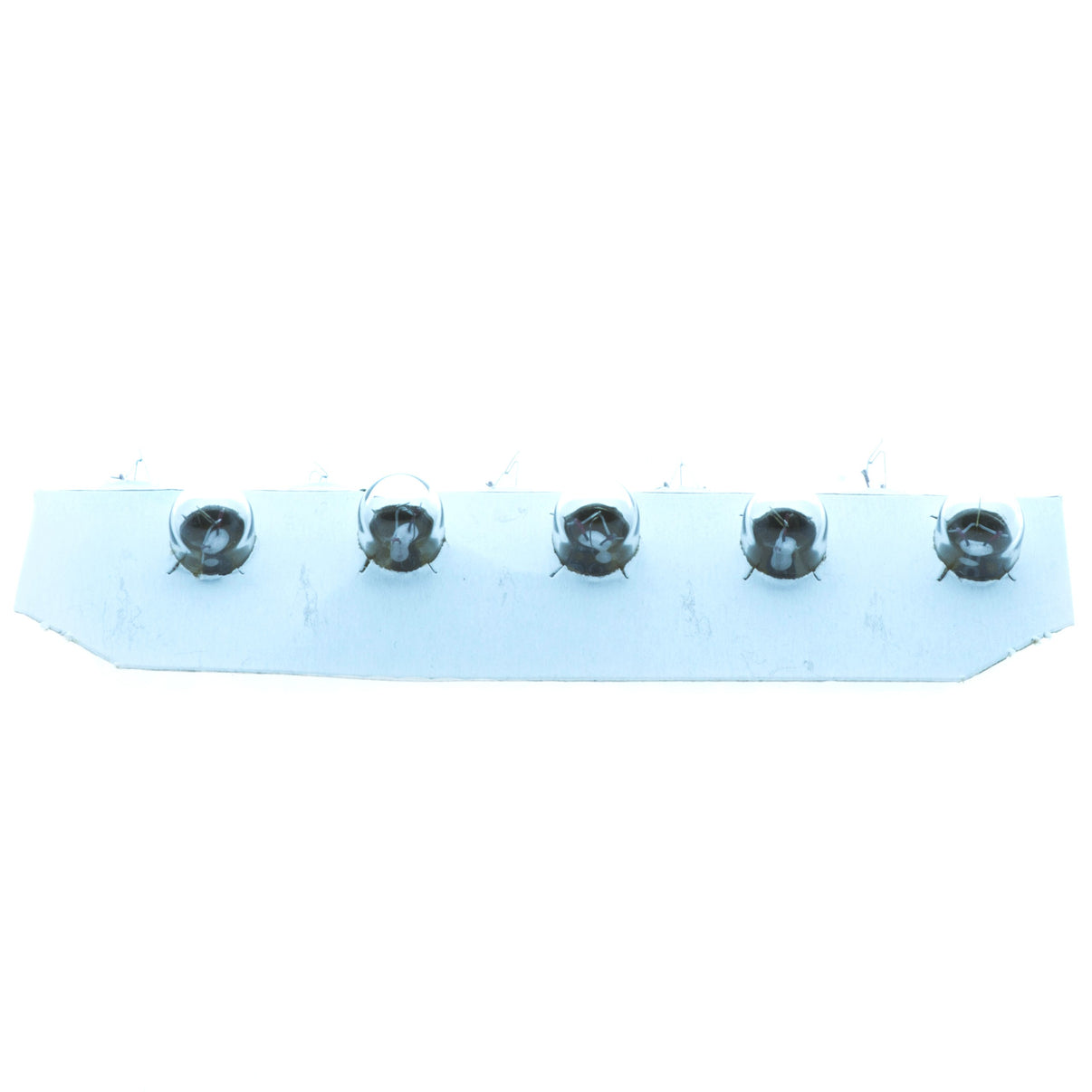 Halogenlampa – PHILIPS – 12V