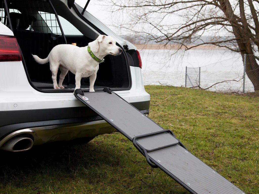 Hundramp för bil – Hoppramp till hundbur & bagage | Artfex - Carlevel - Husdjursprodukter > Hundtillbehör > Hundburar & Hundskydd > Hundramper