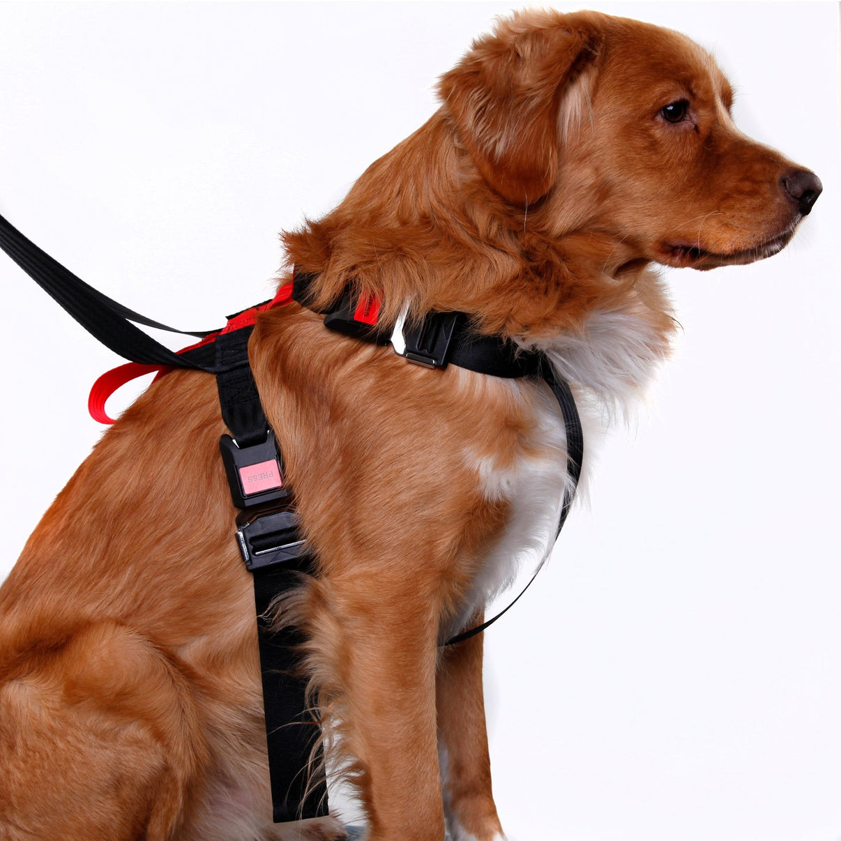 Hundsäkerhetsbälte bil – Small, Medium, Large | Artfex - Carlevel - Fordonsdelar & Tillbehör > Fordonstillbehör > Hund - & Lastskydd > Hundsäkerhetsbälten
