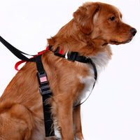 Hundsäkerhetsbälte bil – Small, Medium, Large | Artfex - Carlevel - Fordonsdelar & Tillbehör > Fordonstillbehör > Hund - & Lastskydd > Hundsäkerhetsbälten